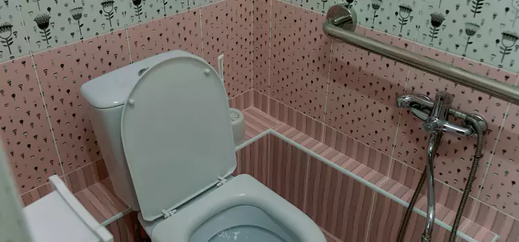 Meeting Diverse Needs With Accessible Restroom Solutions in Overland Park, KS