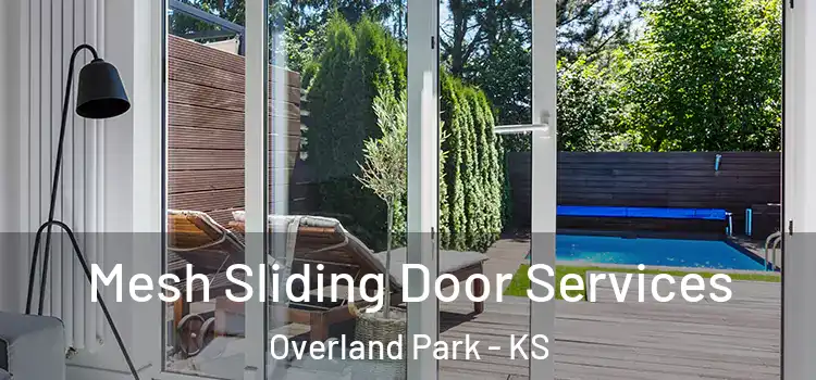 Mesh Sliding Door Services Overland Park - KS